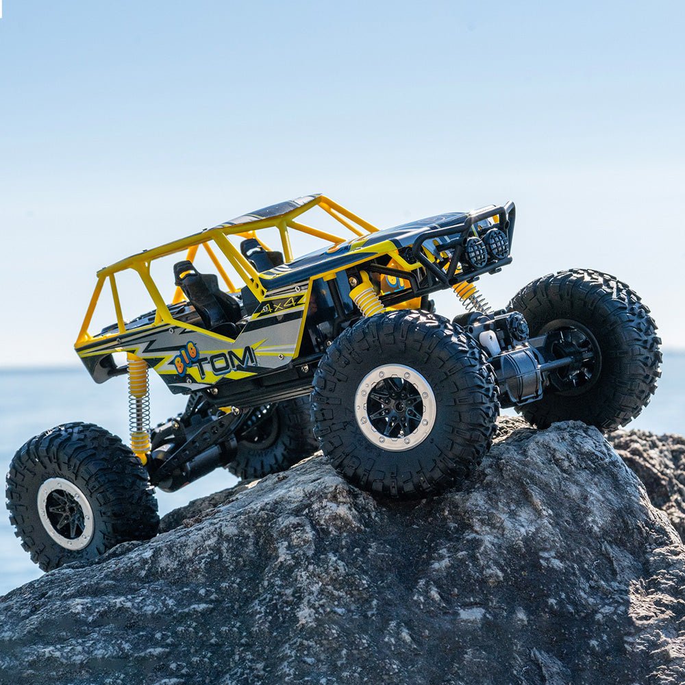 Litehawk Big Tom 15th Anniversary 4X4 Scale - Image 4
