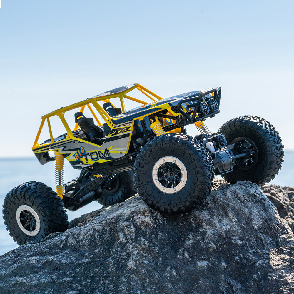 Litehawk Big Tom 15th Anniversary 4X4 Scale - Image 9