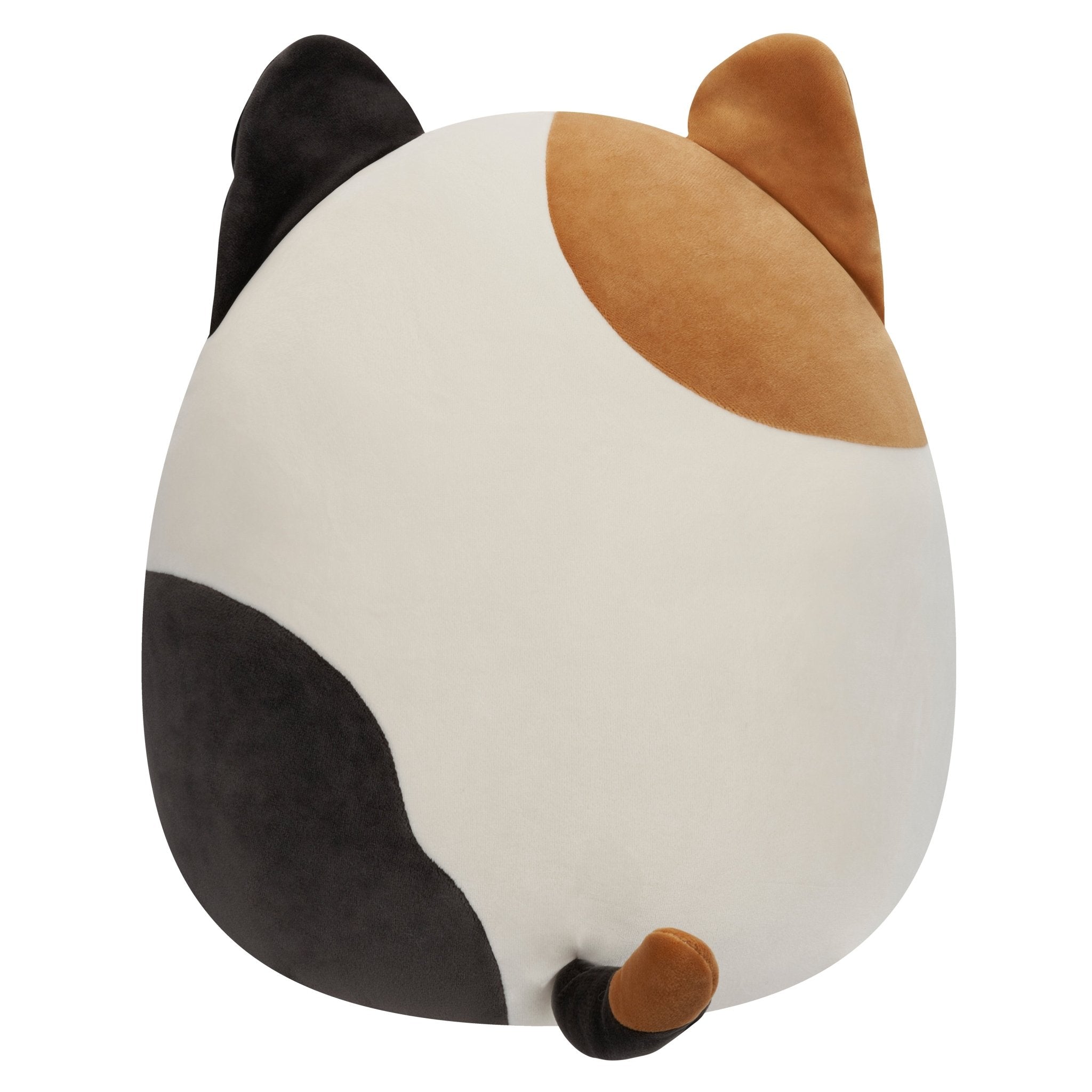 Squishmallow 12" Squishmallows Asst A Toy - Image 3