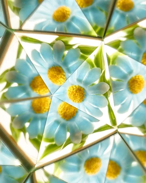 KiwiCo Nature Kaleidoscope Dish - Image 4